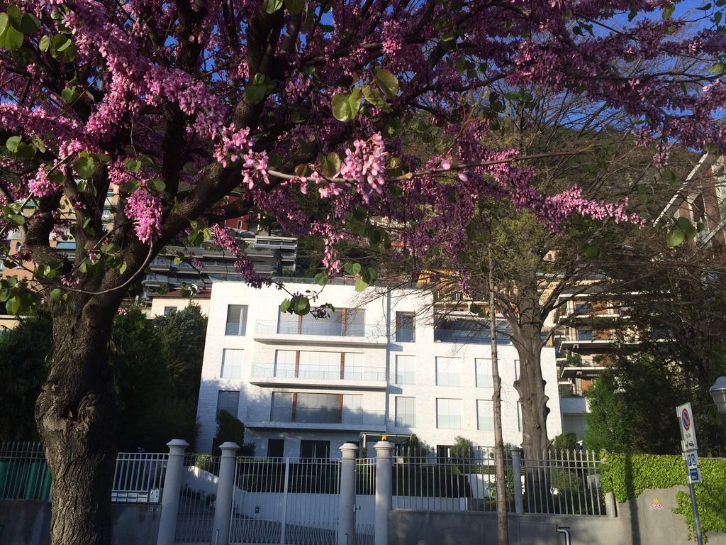 Villa Bianca Como Habitación foto